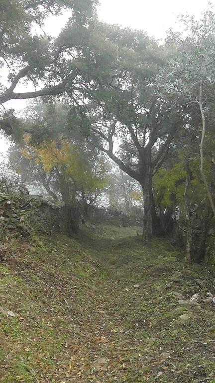 Los Montes Guest House Casas de Miravete Eksteriør bilde